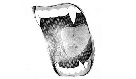 Mouth with fangs drawing | Mouth drawing, Anime mouth drawing, Anime fangs drawing