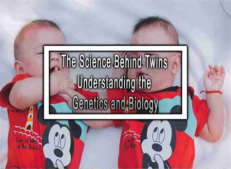 The Science Behind Twins Understanding the Genetics and Biology