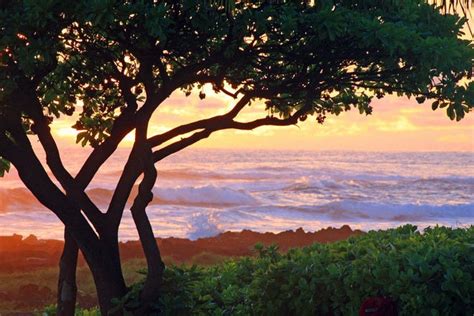 Beachfront Dining: Restaurants in Kauai