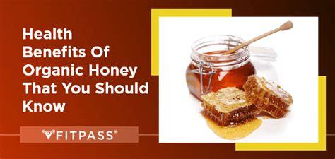 Health Benefits of Organic Honey That You Should Know | FITPASS