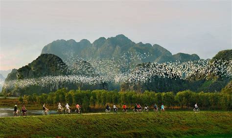 Thung Nham Bird Garden - the land of birds