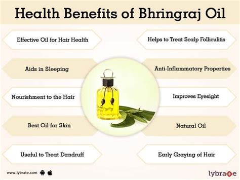 Bhringraj Oil Benefits And Its Side Effects | Lybrate