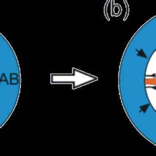 (PDF) The Kirkendall effect and nanoscience: hollow nanospheres and nanotubes