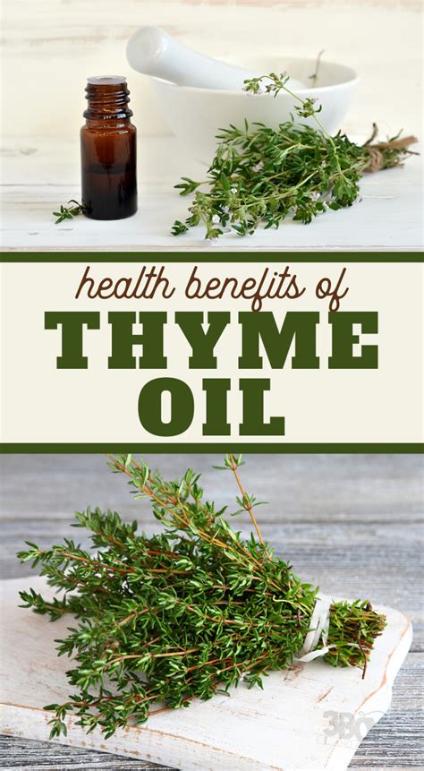 Amazing Health Benefits of Thyme in 2024 | Health benefits of thyme ...