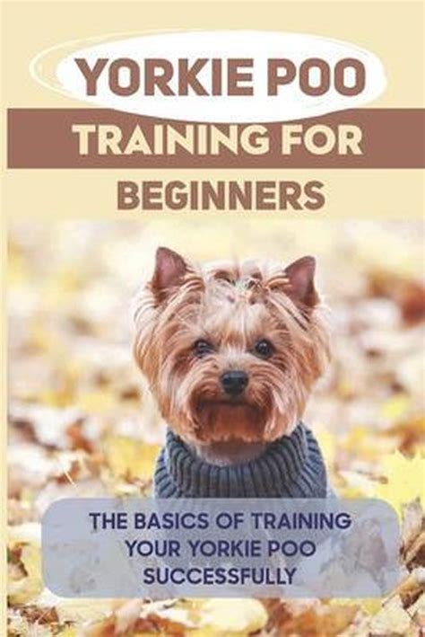 Yorkie Poo Training For Beginners: The Basics Of Training Your Yorkie ...