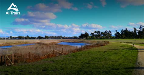 Best Bird Watching Trails in Sunnyvale Baylands Park | AllTrails