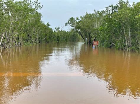 Everglades National Park on Twitter: "Park staff are beginning to ...