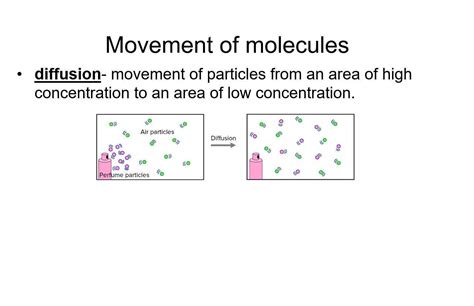 Graham's Law Examples 1 and 2