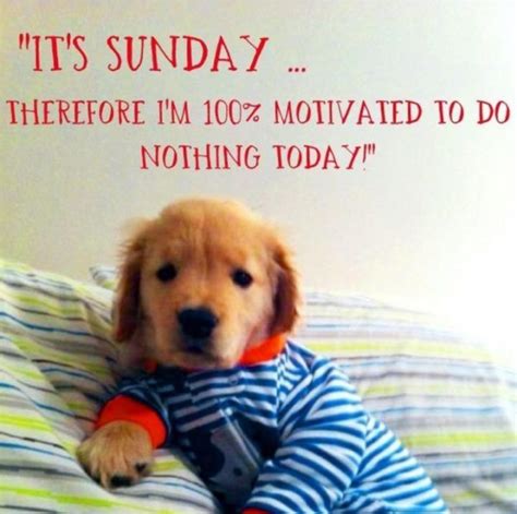 47 Sunday Quotes and Images Offer Inspiration and Laughter | Sunday ...