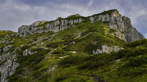 Green Covered Mountain During Daytime 4K HD Nature Wallpapers | HD ...