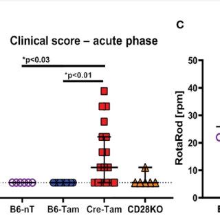 (PDF) CD28-signaling can be partially compensated in CD28-knockout mice but is essential for ...