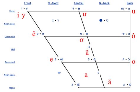 Ipa Vowel Chart Height And Frontness - IMAGESEE