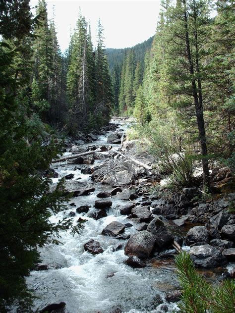 Cache La Poudre River – near Fort Collins-Greeley, CO | Eastern Slope Stream