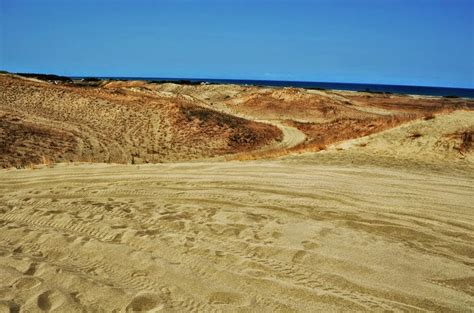 Get Lost To Ilocos: LA PAZ SAND DUNES: Surfing in the sun