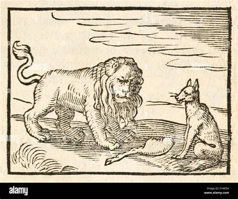 'The Lion and the Fox' fable by Aesop (circa 600BC). 17th century ...