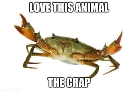 love this animal the crap | Love This Animal | Know Your Meme