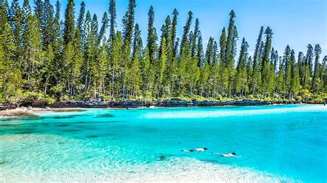 Isle Of Pines Snorkeling | New Caledonia