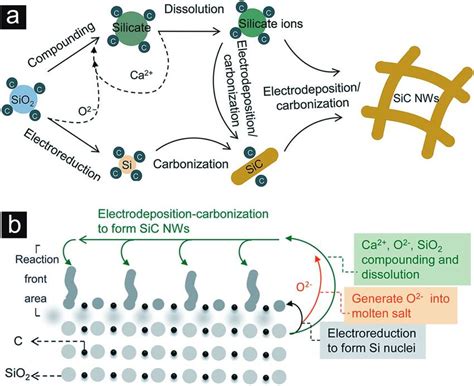 Schematic illustrations of the reaction mechanism. (a) The proposed... | Download Scientific Diagram