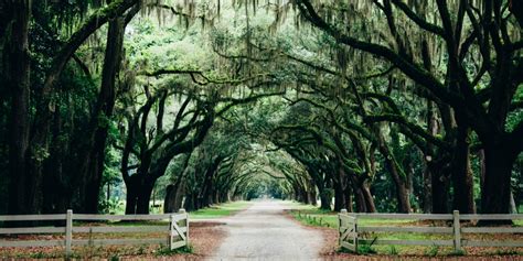 Savannah, Georgia, commits to 100% green energy by 2050 | Electrek