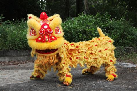 Past and future: Chinese lion dance in Penang | Chinese lion dance, Lion dance, Chinese dog