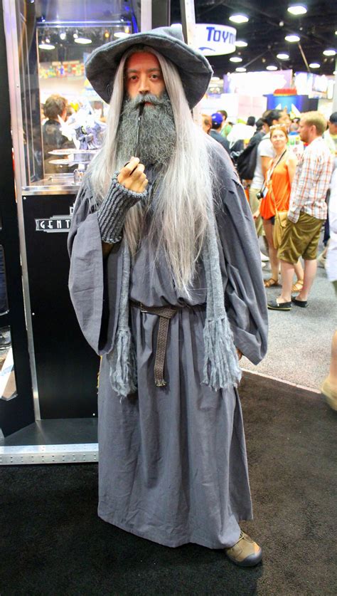 Gandalf the Grey Cosplay Costume | Gandalf the grey, Gandalf, Cosplay costumes