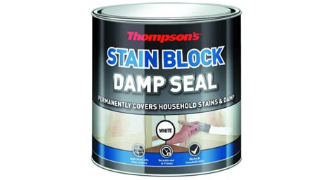 The Best Damp Seal Paint In The UK Compared | Property Road