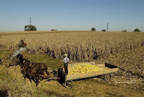 Inside Amish life - CBS News