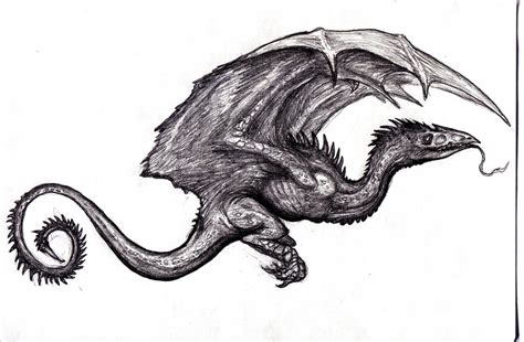 Dragon, Wyvern III by KingOvRats on DeviantArt