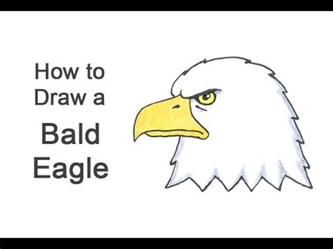 Simple Eagle Head Sketch