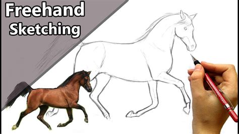 How To Draw A Horse Step By Step Realistic