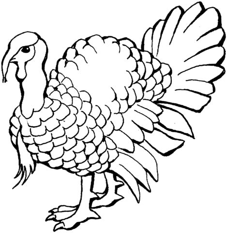 Turkey coloring page | Free Printable Coloring Pages