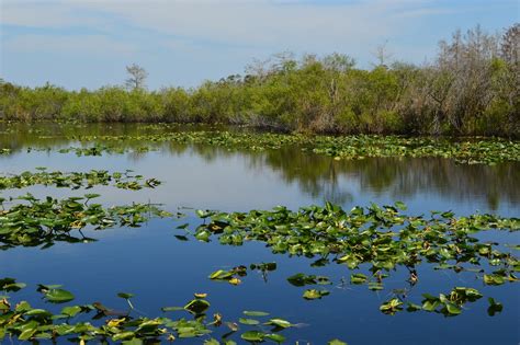 Weekend Camping Trip for Families in Everglades National Park