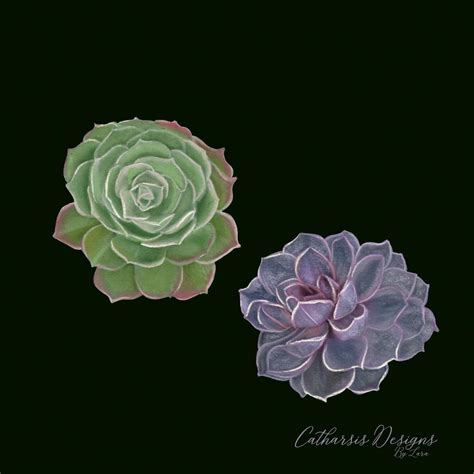 Pastel Succulents | Skillshare Student Project