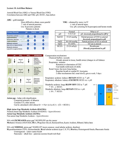 Lecture 10 Acid Base - Acid base regulation (PCO2, PO2, HCO3-) - Lecture 10. Acid-Base Balance ...