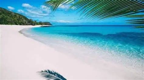 Five most beautiful and cleanest beaches around the world | Clean beach, Beaches in the world, Beach