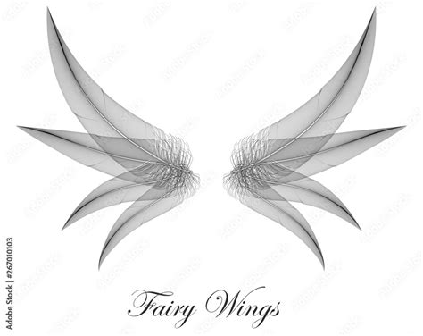 Dark Fairy Wings