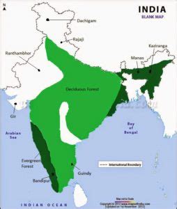 Exploring the Tropical Deciduous Forests in India | Toppr