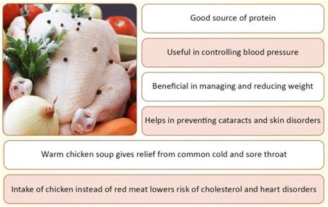 5 Health Benefits of Eating Chicken - Chicken India