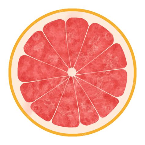 Grapefruit Slices, Pomelo, Grapefruit, Orange PNG Transparent Clipart Image and PSD File for ...