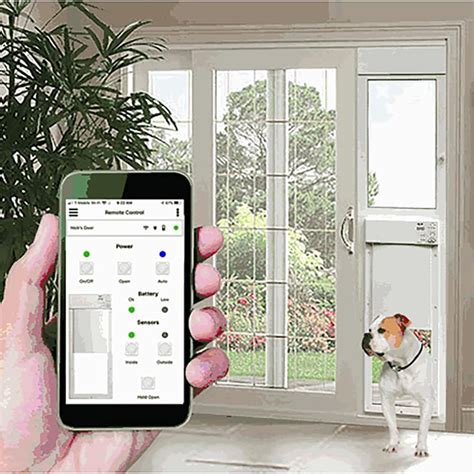 Top 9 Pet Smart Dog Doors Reviewed [And 1 to Avoid!] | Review Rune