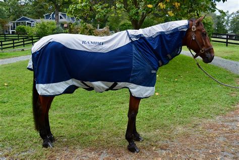 Product Review: Rambo Summer Series Turnout Blanket | Eventing Nation - Three-Day Eventing News ...