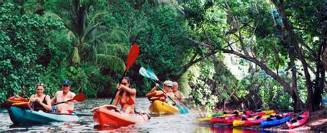 Rainbow Kayak - Wailua River Kayak Tour