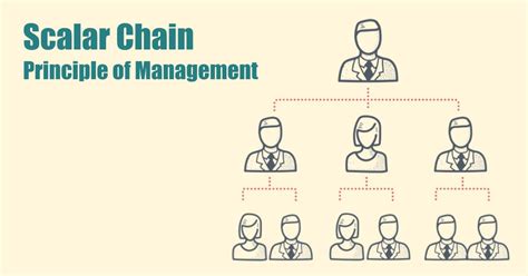 Scalar Chain Principle of Management - Shiksha Online