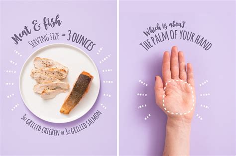 What Does a Serving Size of Protein Look Like? | Alm