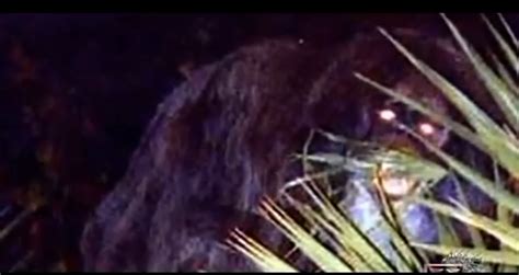 The Legendary Skunk Ape (Documentary) | Bigfoot Research News