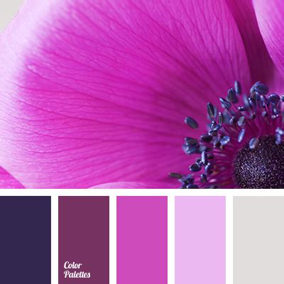 fuchsia colour | Color Palette Ideas