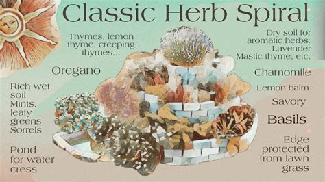 The Herb Spiral, An Adventure that Transforms your Gardening. - Transformative Adventures