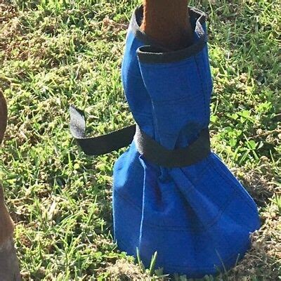 Strong Canvas Horse Poultice Reusable Hoof Boot Protection Abscess ...