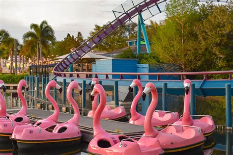 The 7 Best Sea World Rides You Can't Miss In Orlando