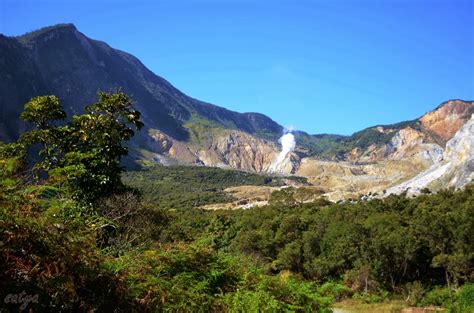 gunung papandayan saat ini - Info Taman Wisata Alam Gunung Papandayan Terbaru